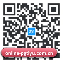 APP 安卓 二维码